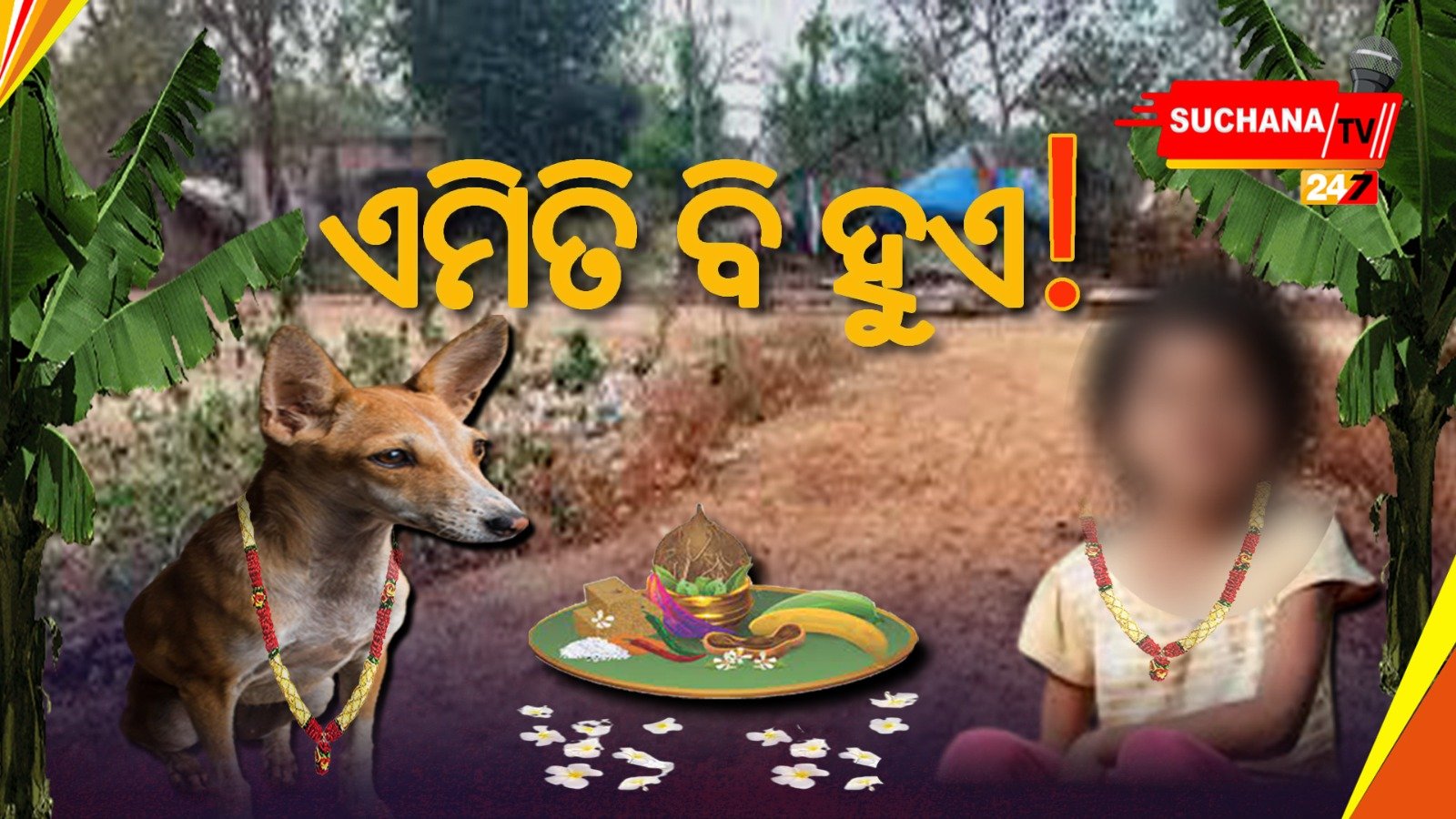 ଦାନ୍ତ ଉଠିବାକୁ ଅଶୁଭ ମାନନ୍ତି ହୋ’ ସମ୍ପ୍ରଦାୟ