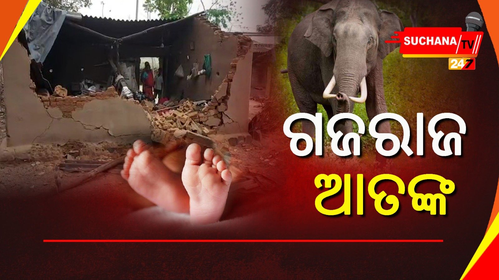 ଘଟଗାଁ ମେଣ୍ଢାମୁଣ୍ଢା ସାହିରେ ହାତୀ ଉତ୍ପାତ, ଭାଙ୍ଗିଦେଲା ଘର କାନ୍ଥ