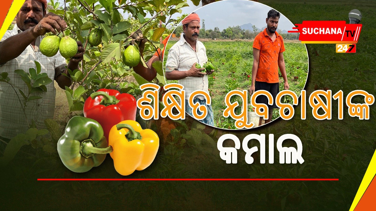 ଆତ୍ମନିର୍ଭରଶୀଳ ହେବା ସହ ଚାକିରି ଦେଲେ ସୁରତ