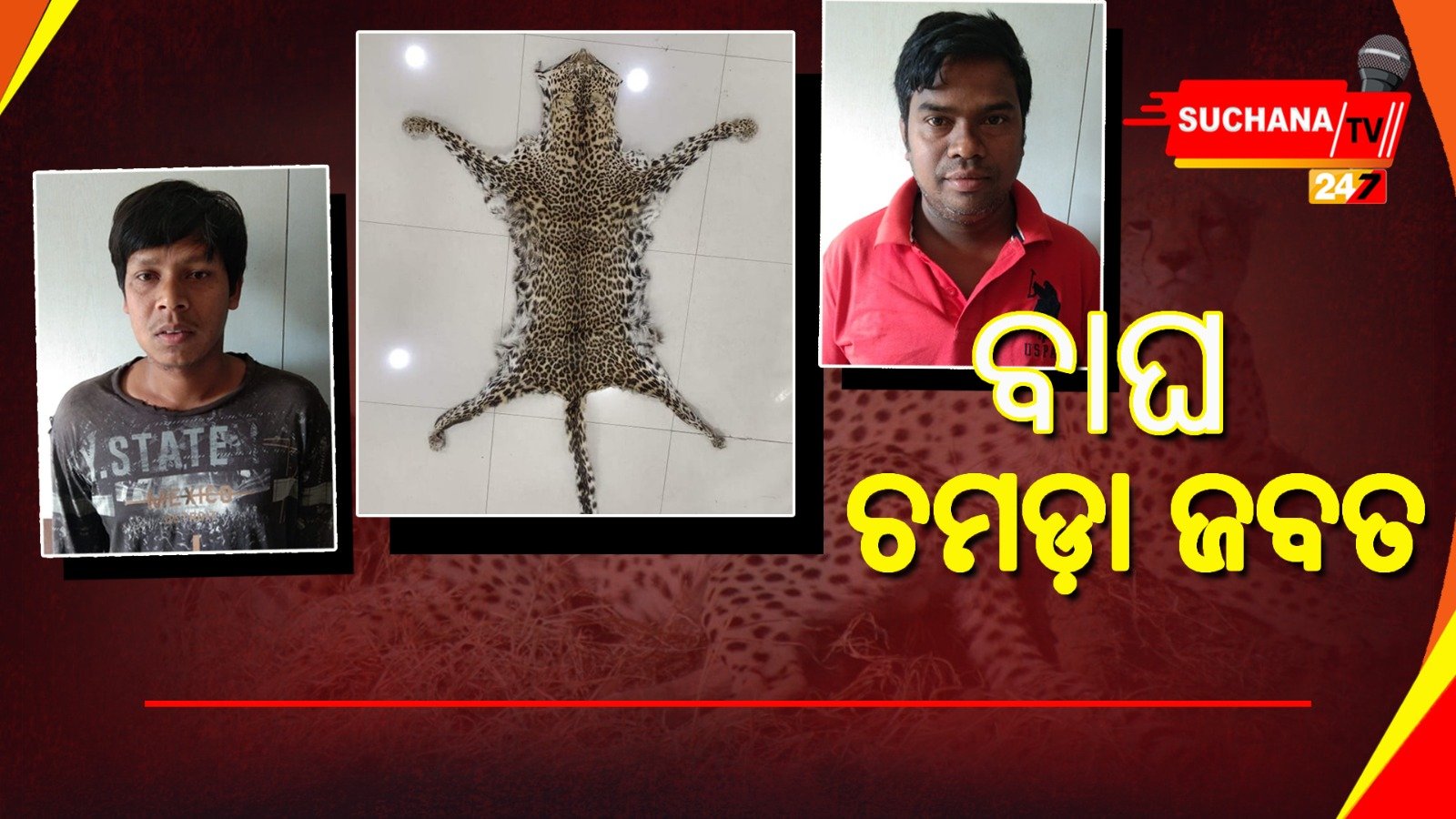 କନ୍ଧମାଳରେ କାହିଁକି ୨ ଜଣଙ୍କୁ ବାନ୍ଧିଲା STF ?