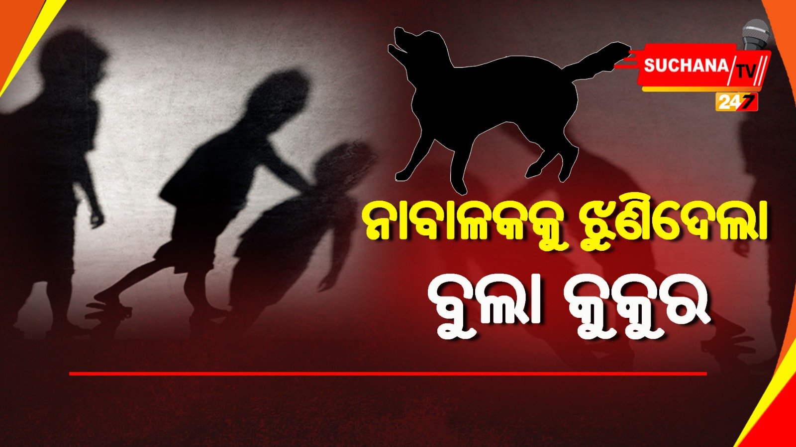 ମଦ୍ୟପ ବାପକୁ ଡରି ଦଉଡି ପଳାଇଲା କୁନି ପୁଅ, ରାସ୍ତାରେ ଝୁଣିପକାଇଲା କୁକୁର