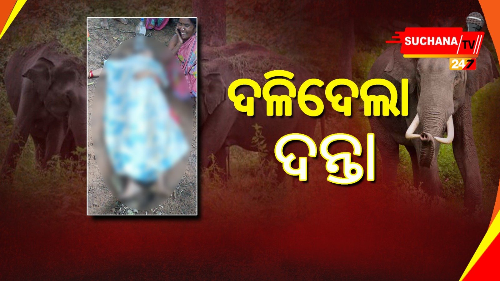 ହାତୀ ଆକ୍ରମଣରେ ଜଣେ ମୃତ୍ୟୁ, ଜଣେ ଗୁରୁତର ଆହତ