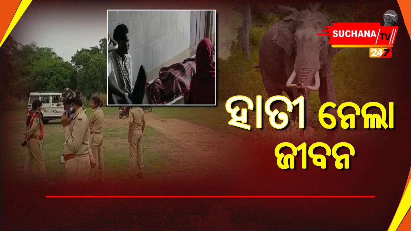 କେନ୍ଦୁଝର ଜିଲ୍ଲାରେ ହାତୀ ଆକ୍ରମଣରେ ଗଲା ଜଣଙ୍କ ଜୀବନ