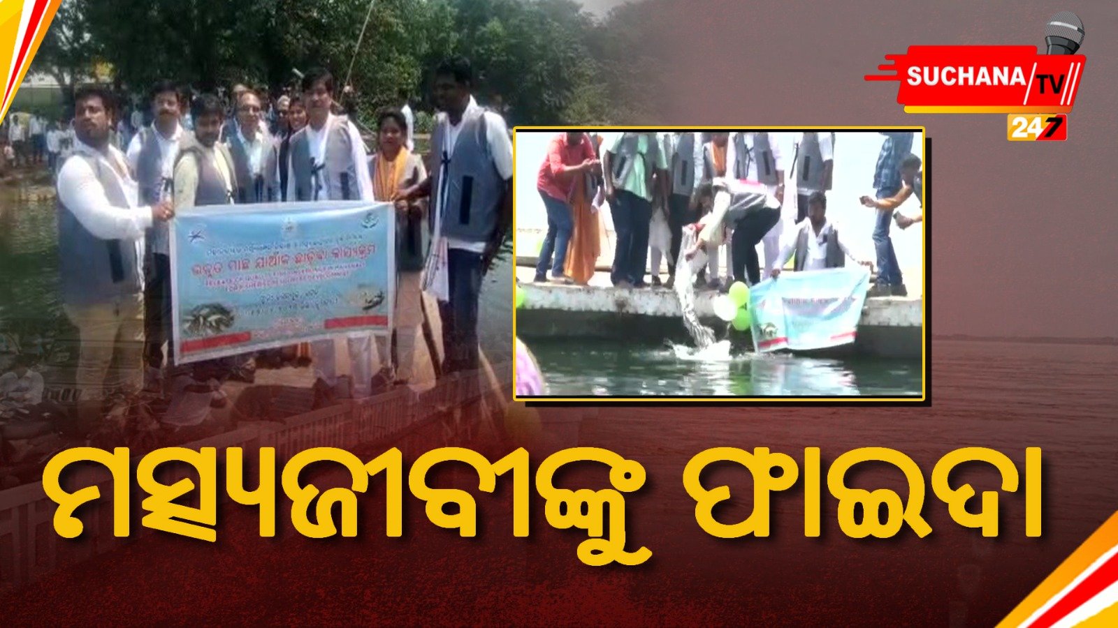 ମହାନଦୀରେ ଛଡ଼ାଗଲା ୧୨ ଲକ୍ଷ ଯାଅଁଳ,ମତ୍ସ୍ୟଜୀବୀଙ୍କୁ ଫାଇଦା