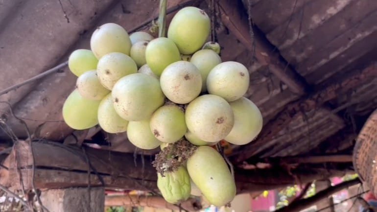 ଲାଉ ସହ ସେଲ୍ଫି !