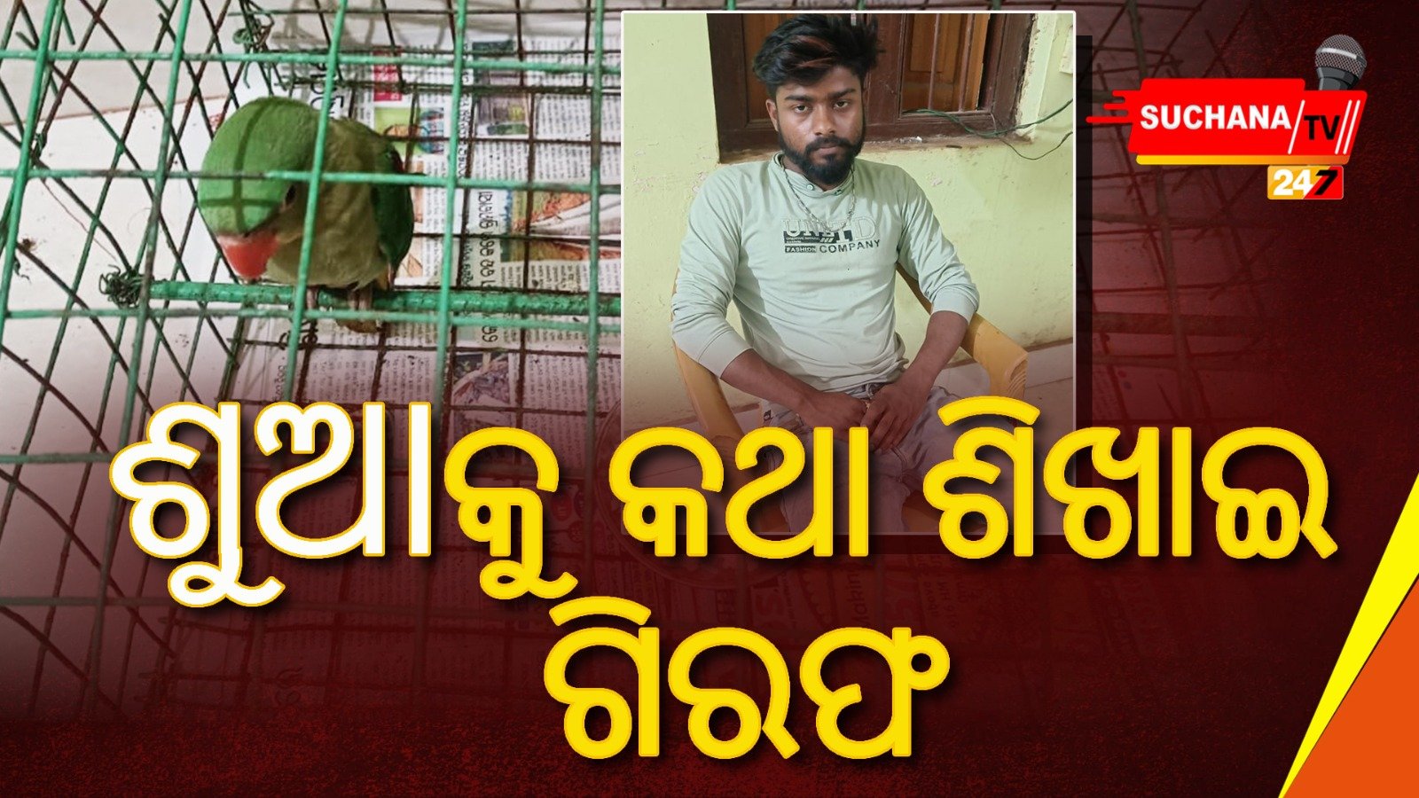 ଶୁଆକୁ କହିଲା କଥା…ଆଉ ତାପରେ…