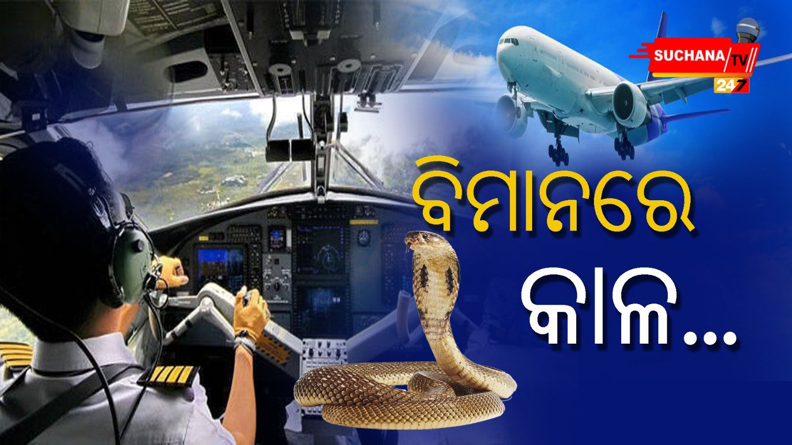 ପାଇଲଟଙ୍କ ସିଟ୍ ତଳେ ବିଷଧର ସାପ…