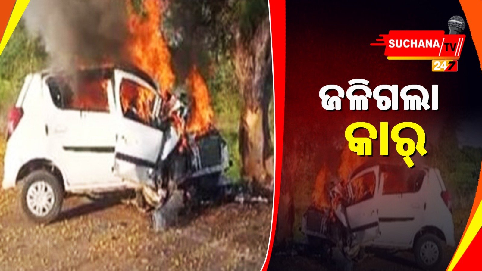 ମଧ୍ୟପ୍ରଦେଶ: ଗଛକୁ ପିଟି ଜଳିଗଲା କାର୍, ୪ ଜୀବନ୍ତ ଦଗ୍ଧ