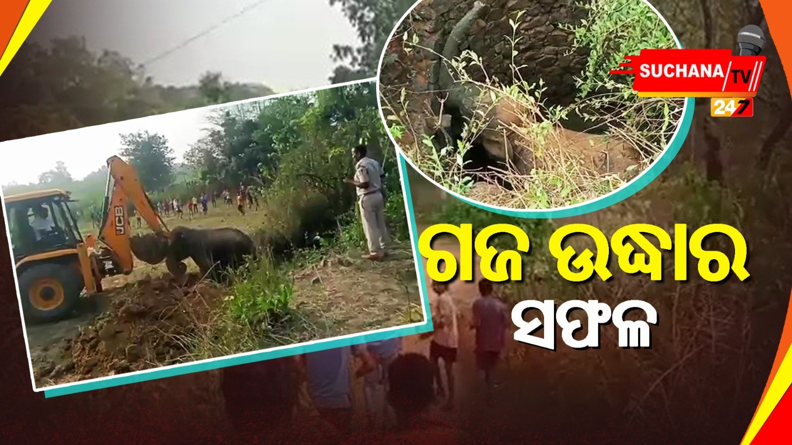 କୂଅରୁ ମାଈ ହାତୀ ଉଦ୍ଧାରରେ ବନ ବିଭାଗ ସଫଳ