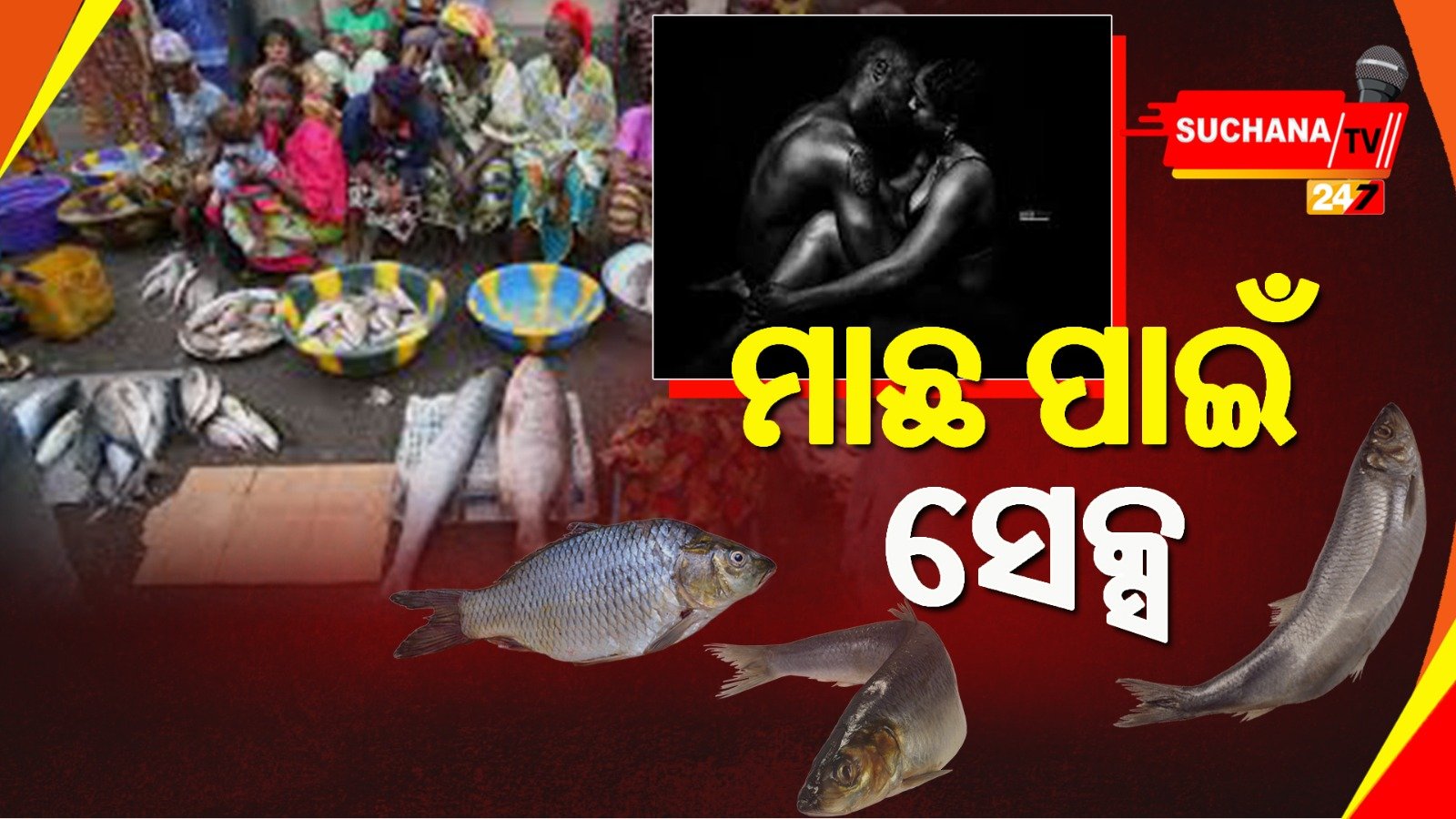 рморм▓рм╛рн▒рм┐ рмормдрнНрм╕рнНрнЯрмЬрнАрммрнАрмЩрнНрмХ рмЕрмЬрмм рммрнЗрмкрм╛рм░…