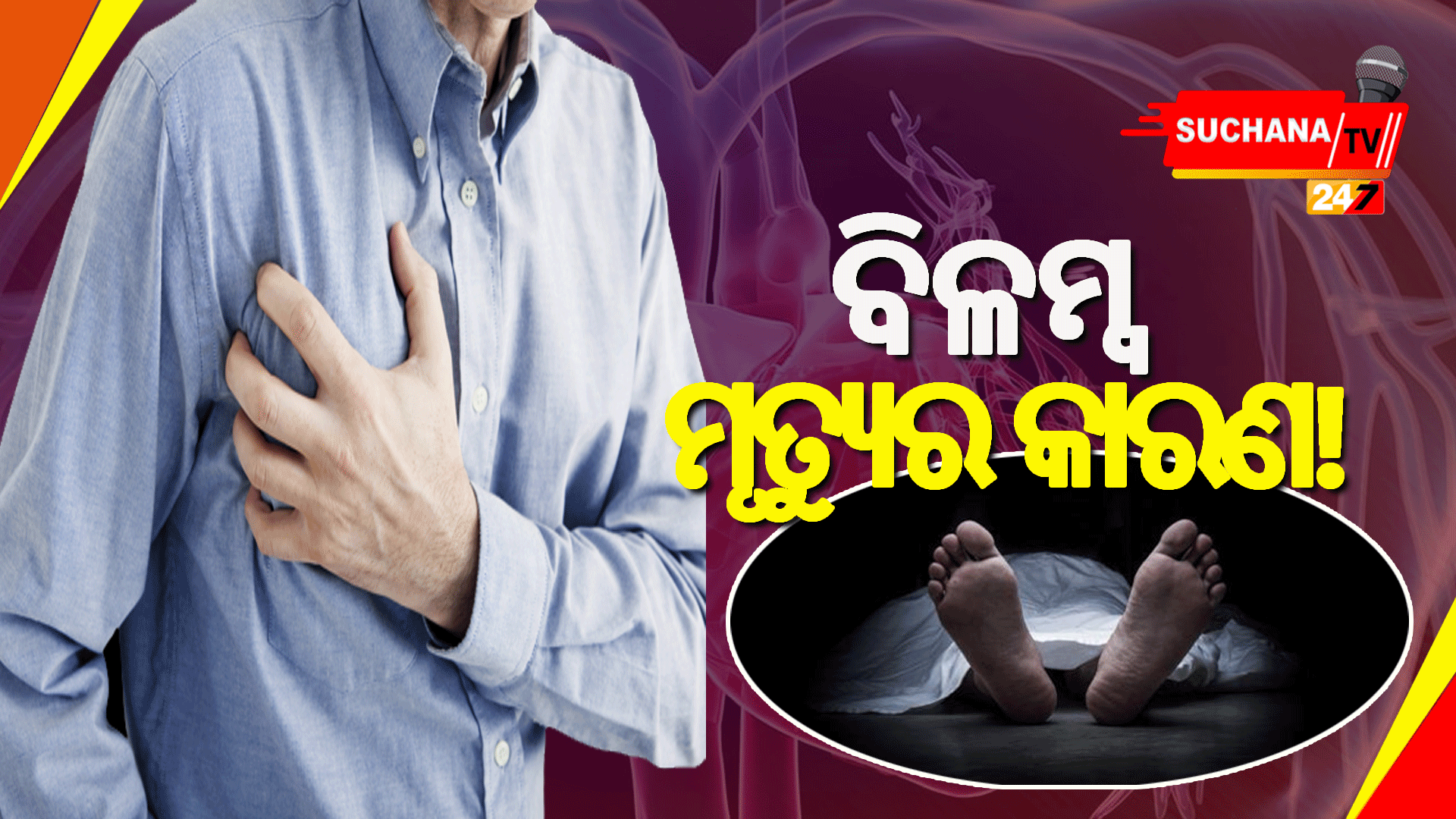 ଅଧିକାଂଶ ହୃଦଘାତଜନିତ ମୃତ୍ୟୁର କାରଣ କ’ଣ?