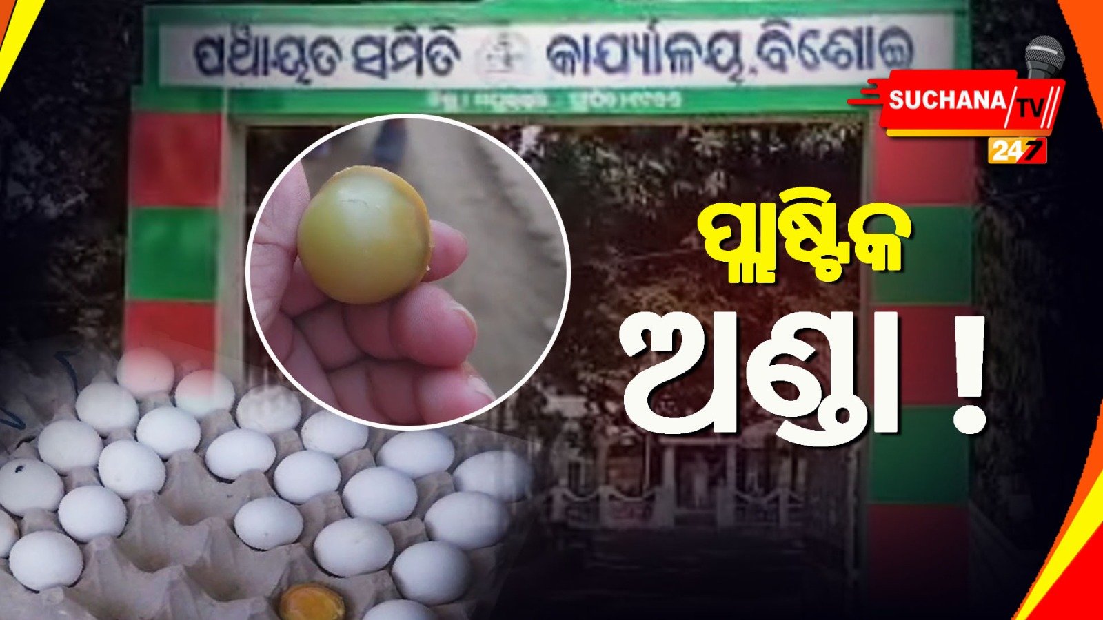 କେତେ ସ୍ୱାସ୍ଥ୍ୟକର ସରକାରୀ ଅଣ୍ଡା ?