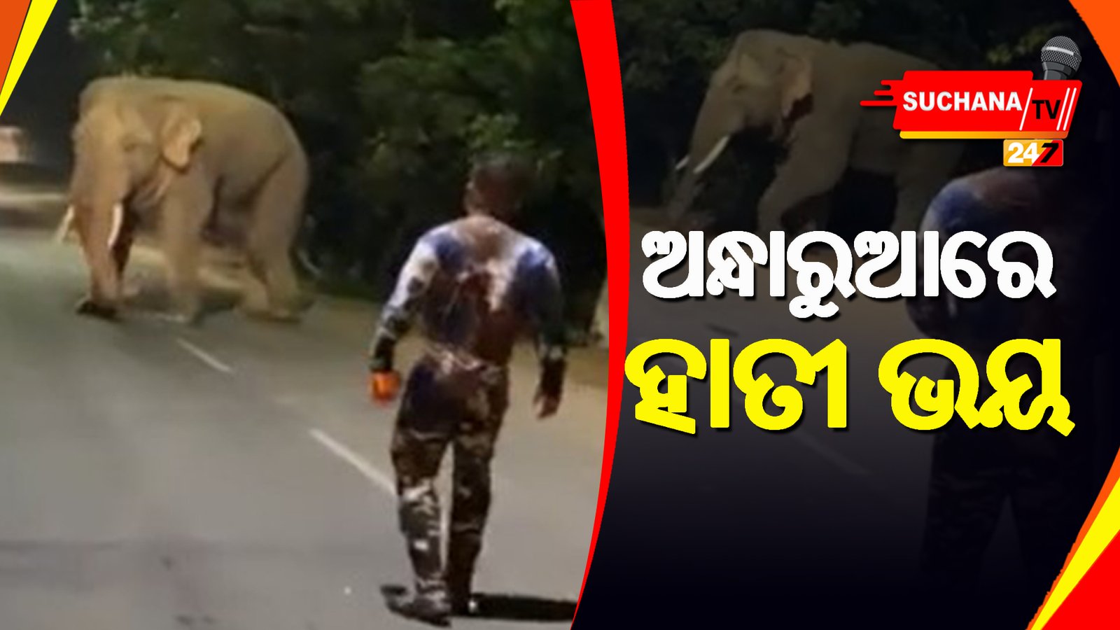 ଅନ୍ଧାରୁଆ: ଆଖପାଖ ଗାଁରେ ହାତୀ ଆତଙ୍କ, ବନ ବିଭାଗର ଅବହେଳା ନେଇ ପ୍ରଶ୍ନ