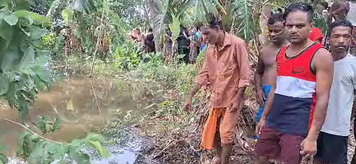 ରାଜନଗର: ବାସନ ମାଜୁଥିବା ବେଳେ ମହିଳାଙ୍କୁ ଟାଣିନେଲା କୁମ୍ଭୀର