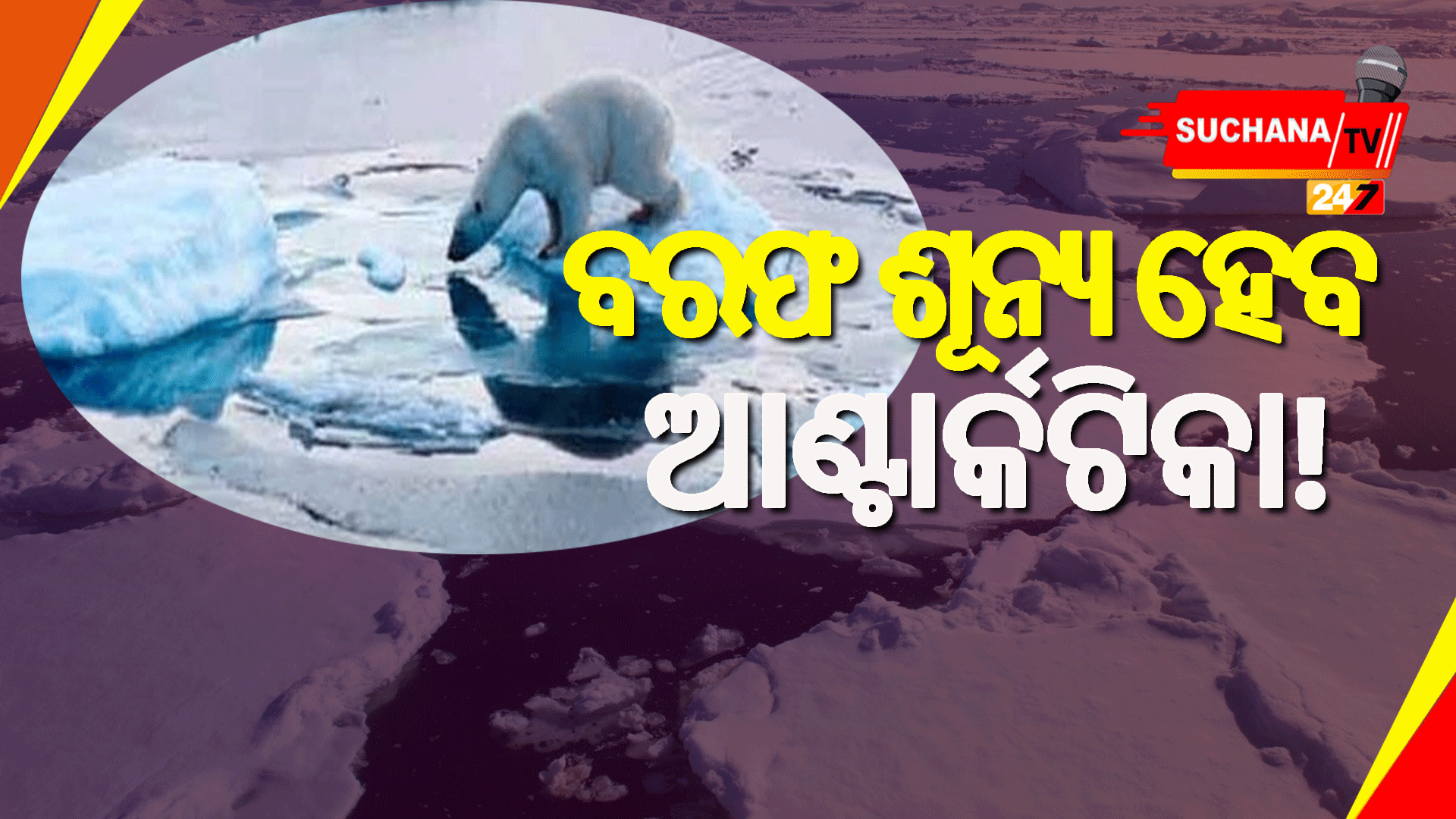 ୨୦୩୦ରେ ଆଣ୍ଟାର୍କଟିକାରେ ଦେଖିବାକୁ ମିଳିବ ଭୟଙ୍କର ପରିବର୍ତ୍ତନ!