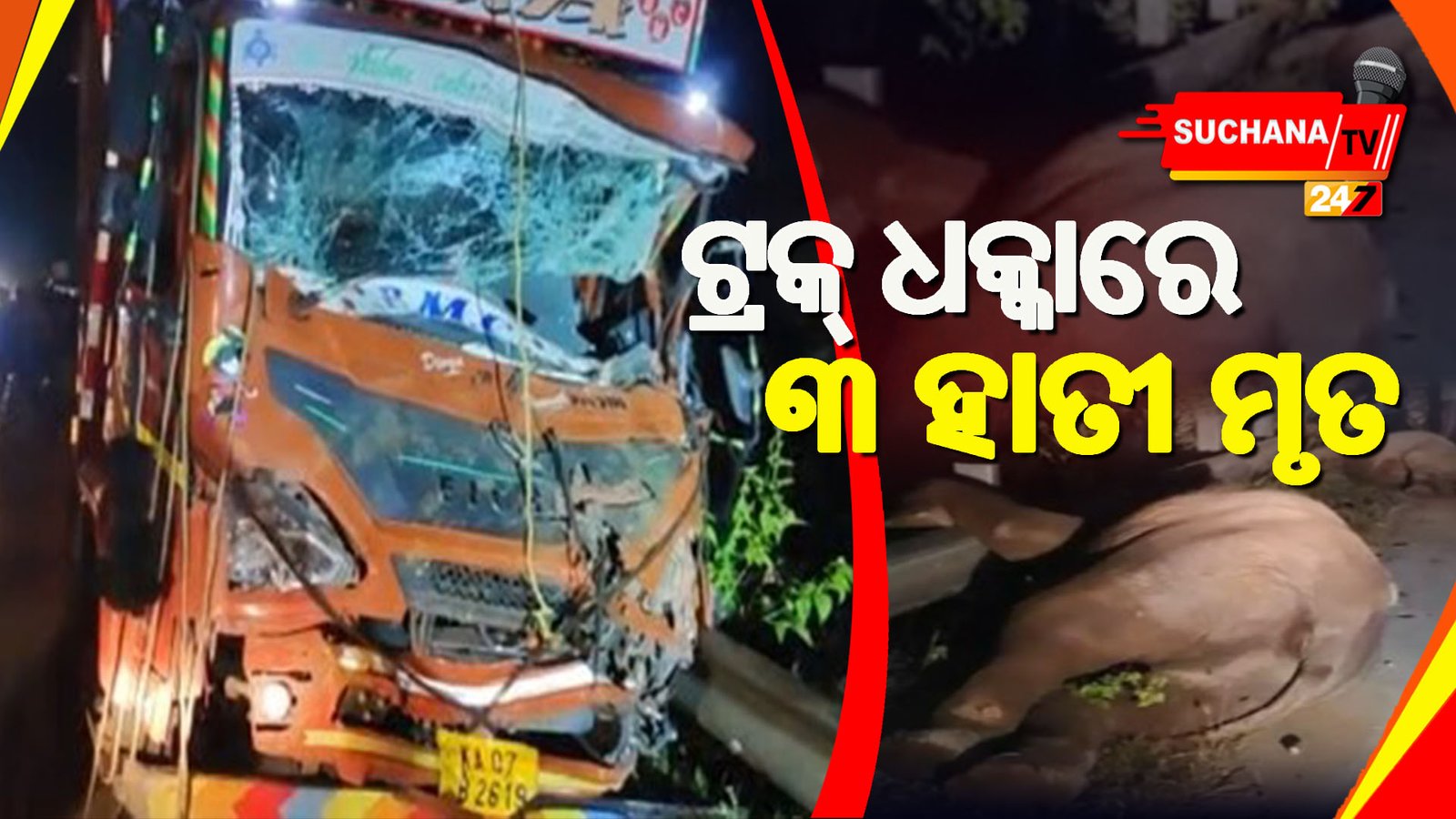 ଆନ୍ଧ୍ରପ୍ରଦେଶ: ଚିତ୍ତୂରରେ ଟ୍ରକ୍ ଧକ୍କାରେ ଜୀବନ ହାରିଲେ ୩ ହାତୀଛୁଆ