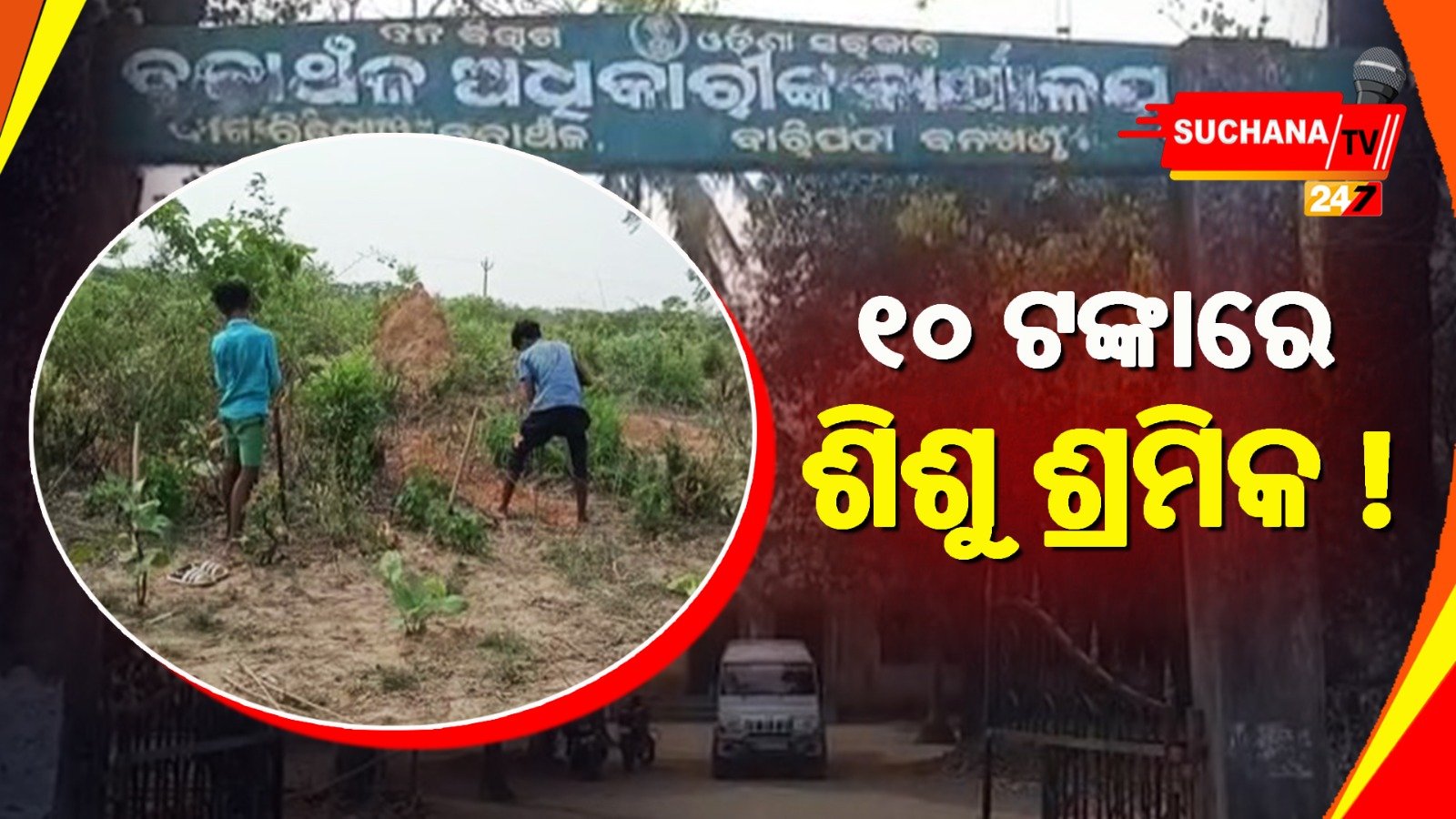 ଶିଶୁ ଶ୍ରମିକଙ୍କ ଠିକାଦାର ସାଜିଛି ବନ ବିଭାଗ !