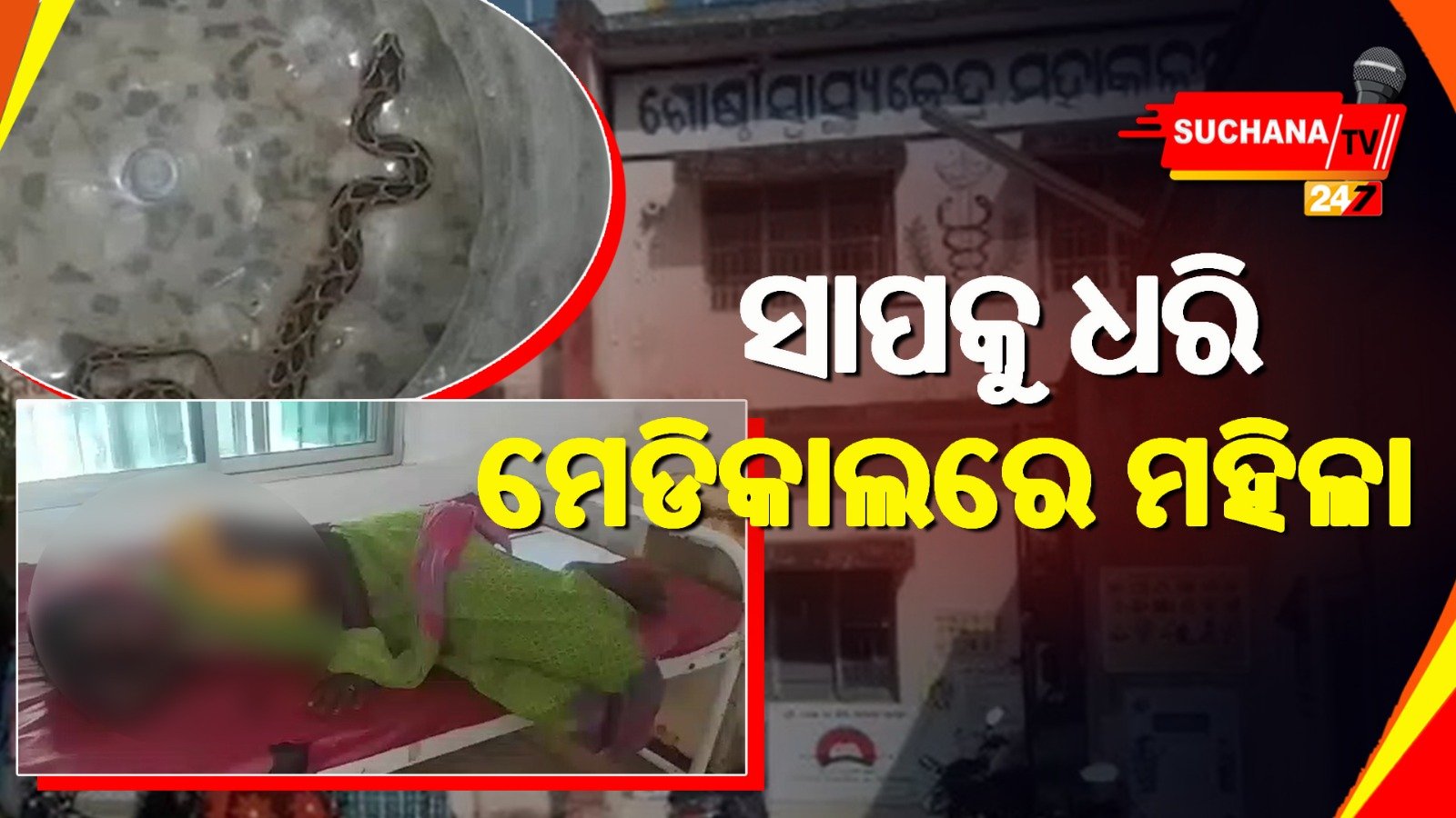 ମହାକାଳପଡ଼ା: ରାତିରେ ମାରିଲା ଚୋଟ, ସକାଳେ ସାପ ସହ ମେଡିକାଲରେ ମହିଳା