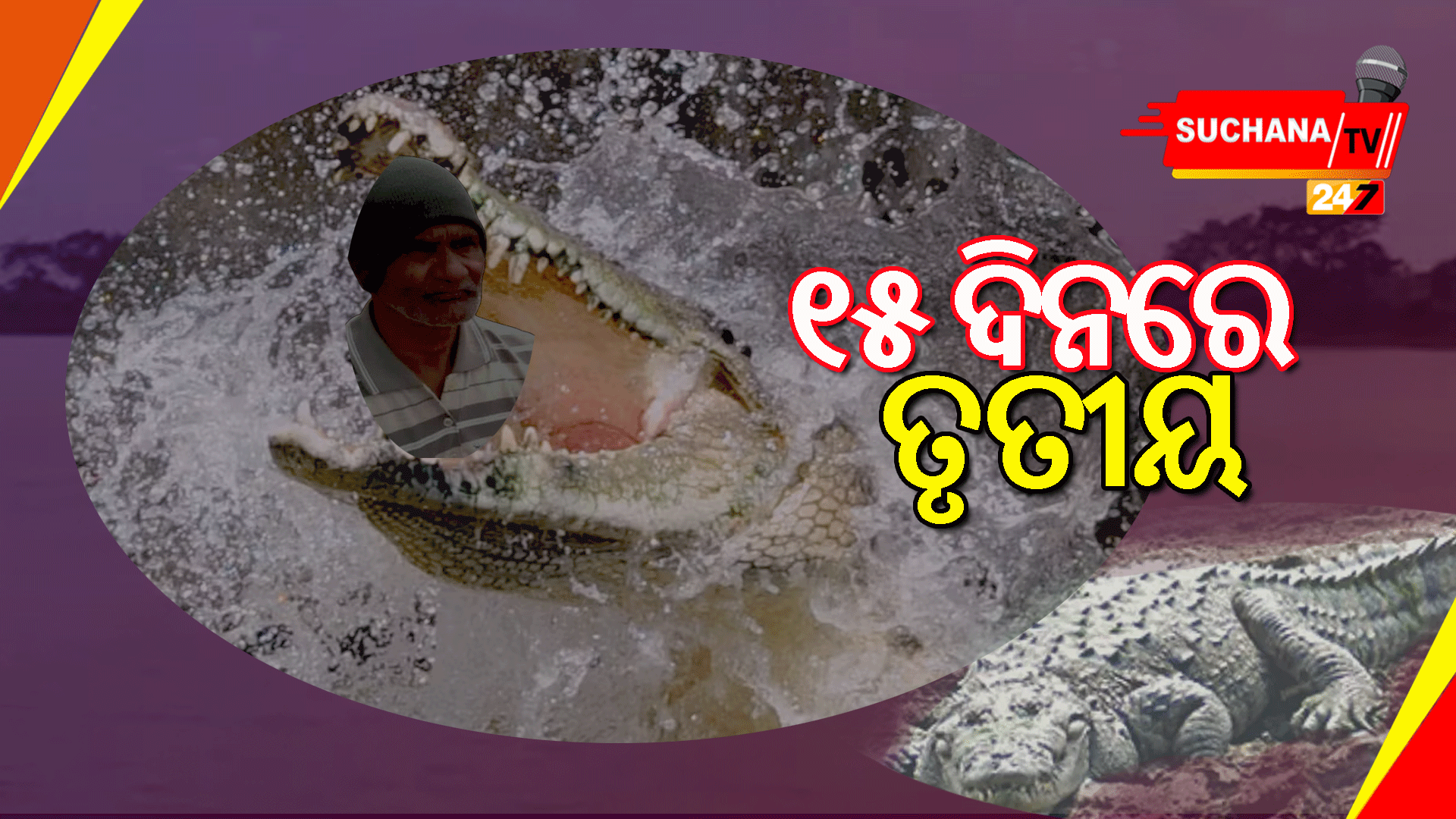 ନଦୀକୁ ଶୌଚ ହେବାକୁ ଯାଇଥିବା ବେଳେ ବୃଦ୍ଧଙ୍କୁ ଟାଣିନେଲା କୁମ୍ଭୀର