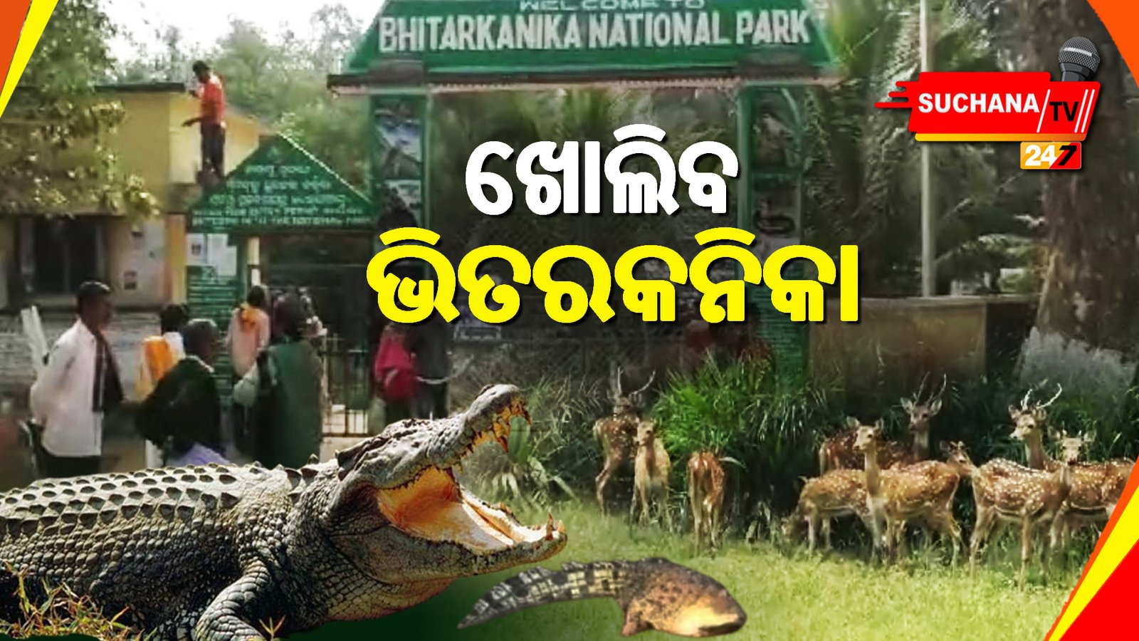 ଅଗଷ୍ଟ ୧ ତାରିଖରୁ ଖୋଲିବ ଭିତରକନିକା