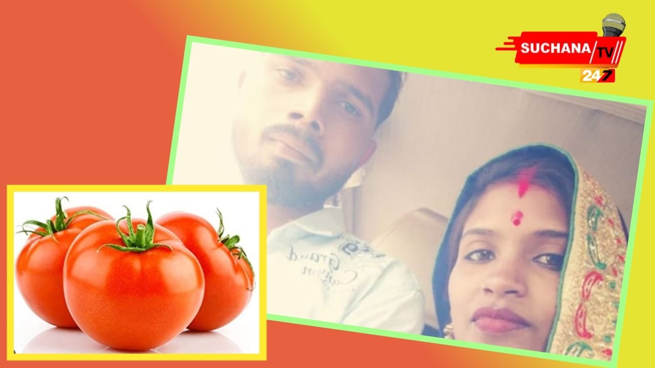 ଟମାଟୋ ପାଇଁ ଉଜୁଡିଗଲା ସୁଖର ସଂସାର