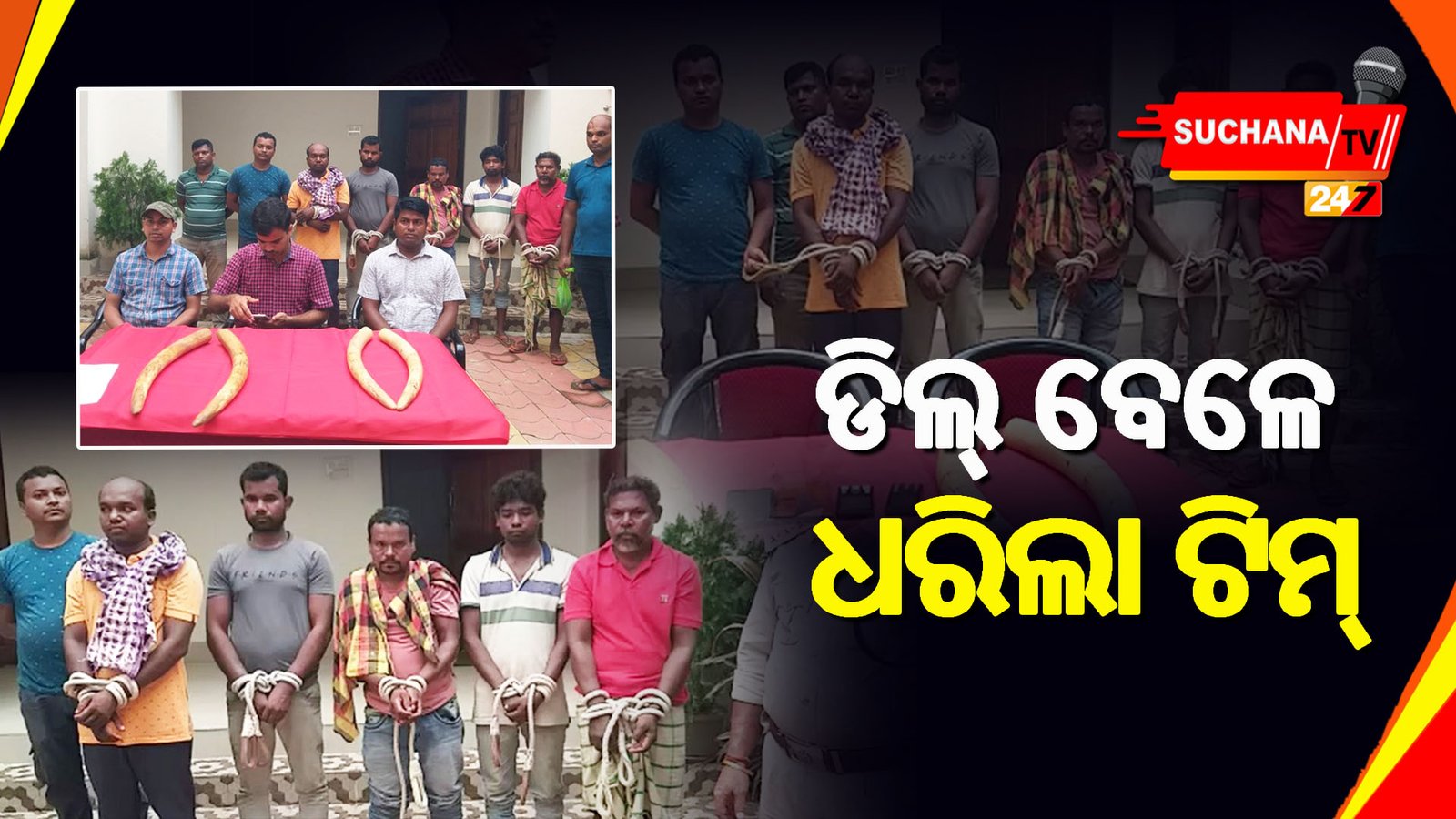 ରାଇରଙ୍ଗପୁର: ଯଶୀପୁରରେ ହାତୀ ଦାନ୍ତ ବିକ୍ରି ବେଳେ ମାଡ଼ିବସିଲା ବନ ବିଭାଗ