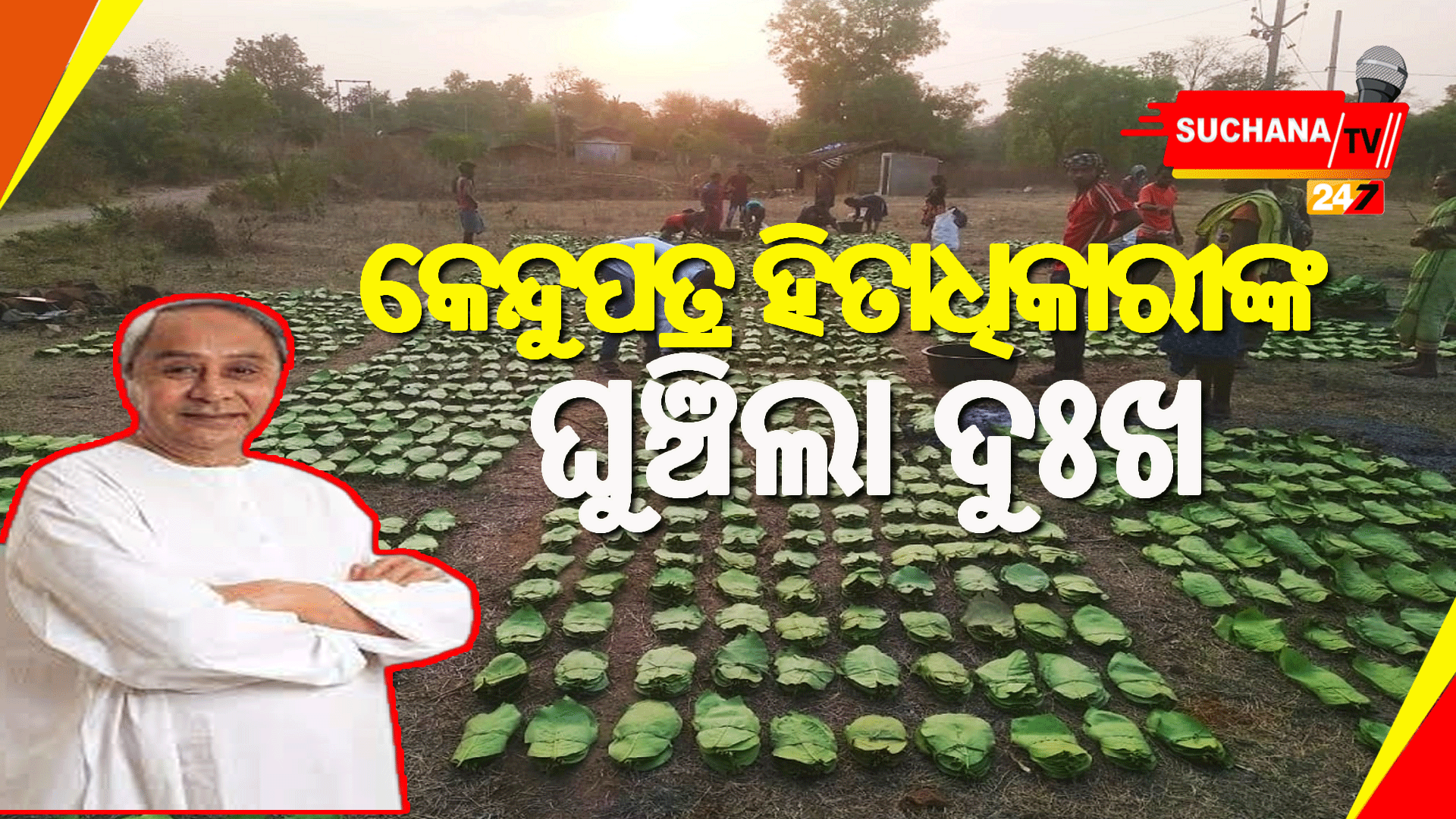 ରାଜ୍ୟର କେନ୍ଦୁପତ୍ର ହିତାଧିକାରୀମାନଙ୍କ ପାଇଁ ତୃତୀୟ ପର୍ଯ୍ୟାୟରେ ୫୬ କୋଟି ଟଙ୍କାର ଆର୍ଥିକ ସହାୟତା ଘୋଷଣା