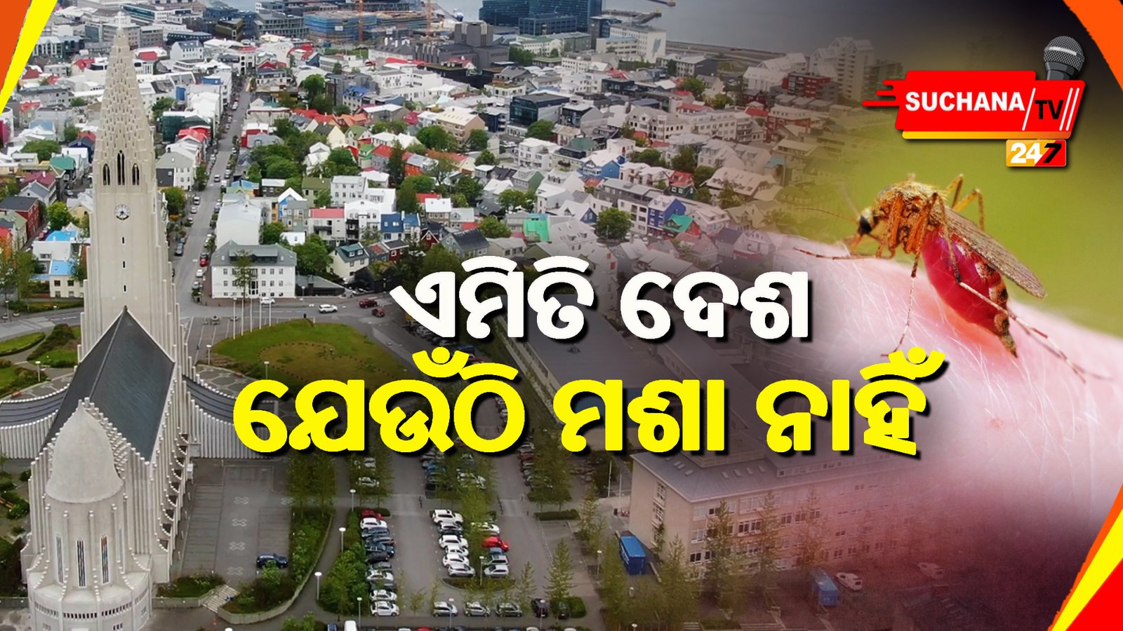 ଏହି ଦେଶରେ କାହିଁକି ନାହାନ୍ତି ମଶା ?ସେମାନଙ୍କ ବଂଶ କିପରି ନଷ୍ଟ ହେଲା ?