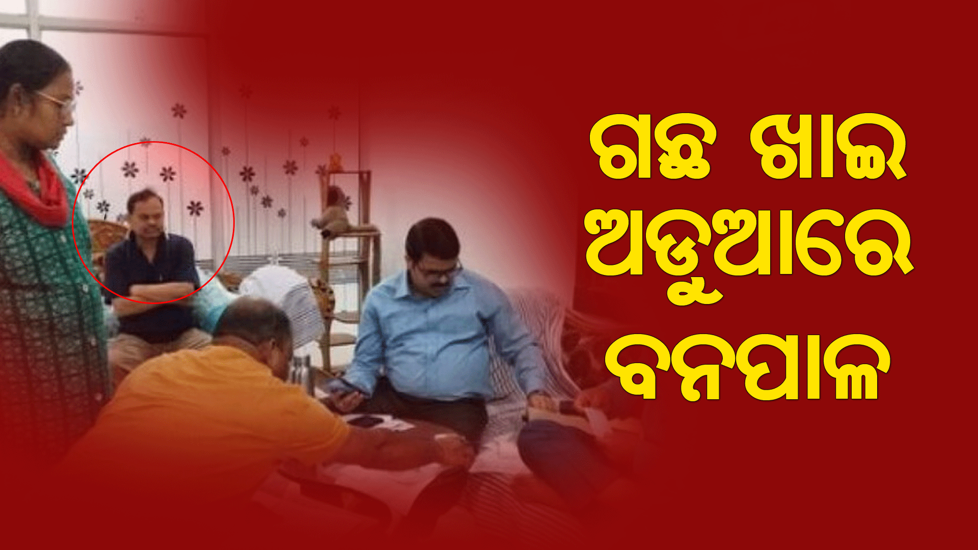 ଭିଜିଲାନ୍ସ ଜାଲରେ ରାୟଗଡା ଡିଏଫଓ