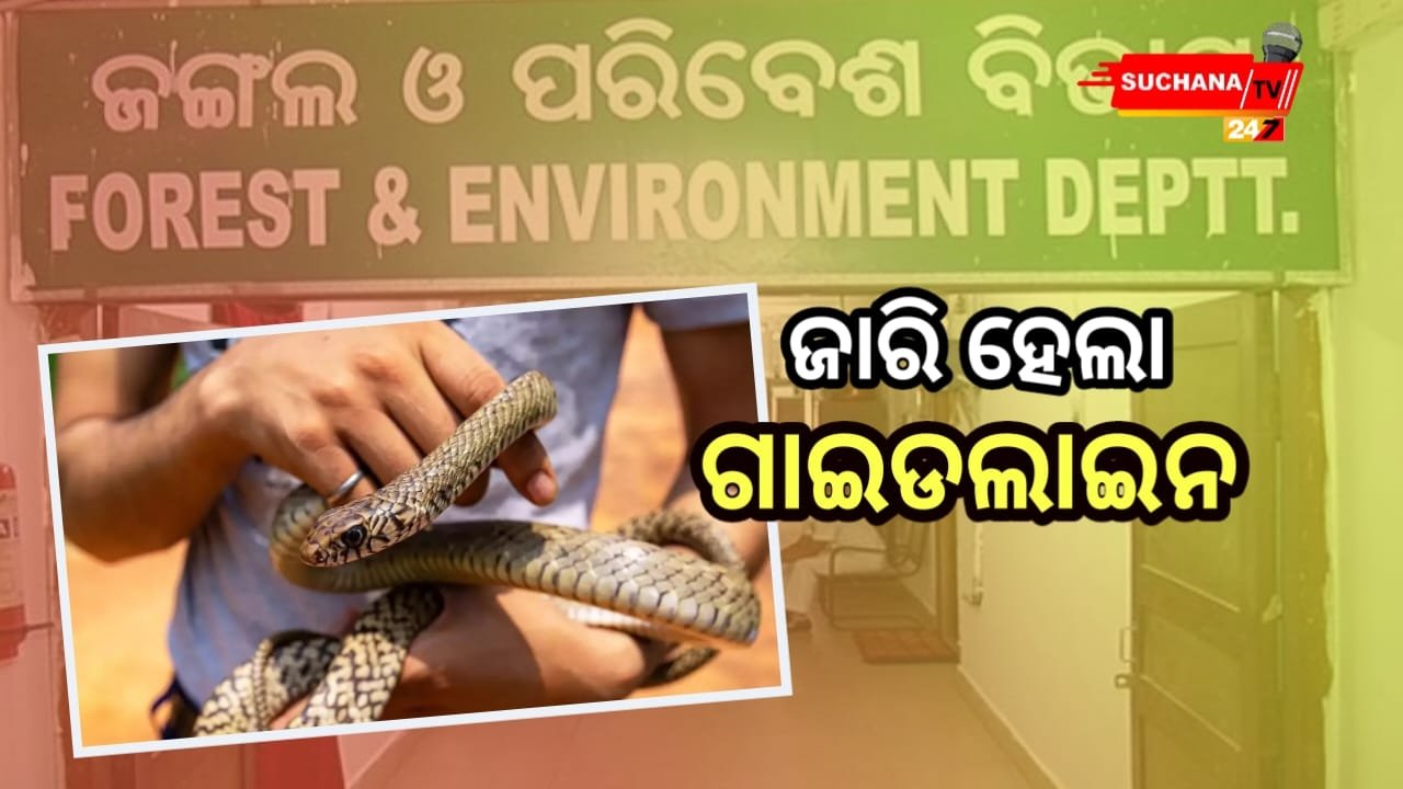 ସାପ ଧରିବା ଲାଗି ଜଙ୍ଗଲ ଓ ପରିବେଶ ବିଭାଗ ଜାରି କଲା ଗାଇଡ୍ ଲାଇନ