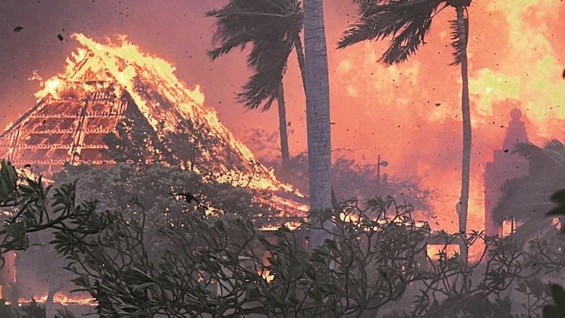 ହାୱାଇ ଜଙ୍ଗଲରେ ଭୟଙ୍କର ନିଆଁ