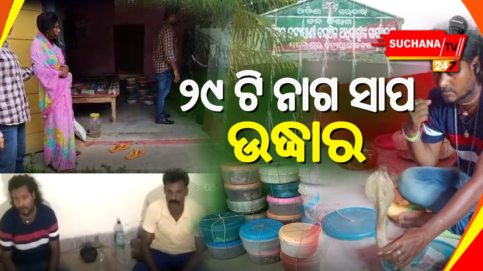 ସାପ ବିଷ ରାକେଟର ପର୍ଦ୍ଦାଫାସ ସହ , ୩ ଅଟକ