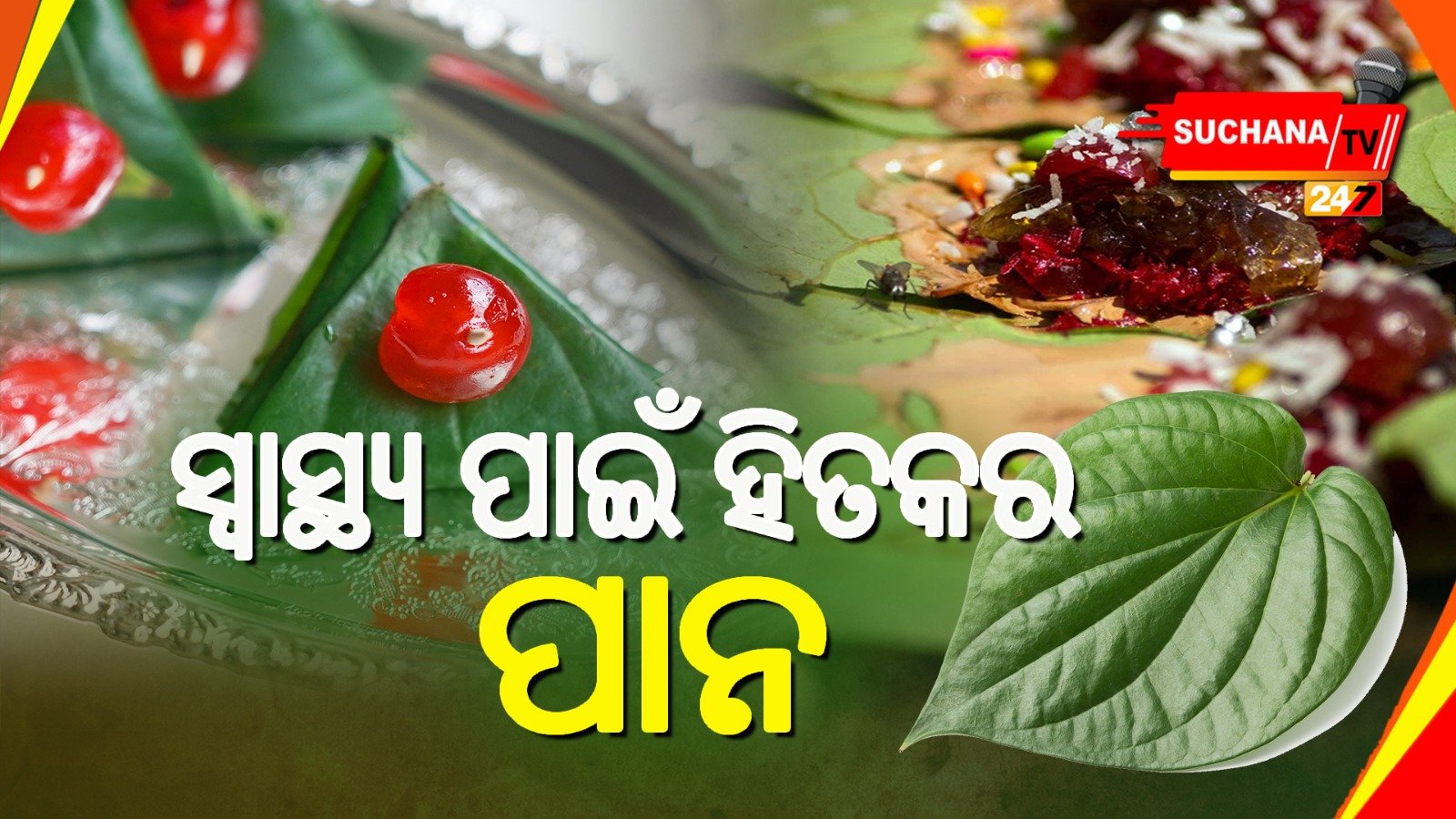 କେବଳ ଶୁଭ କାମ, ପୂଜାରେ ବ୍ୟବହାର ହୁଏନି ପାନ, ଏହାର ରହିଛି ଅନେକ ଔଷଧୀୟ ଗୁଣ