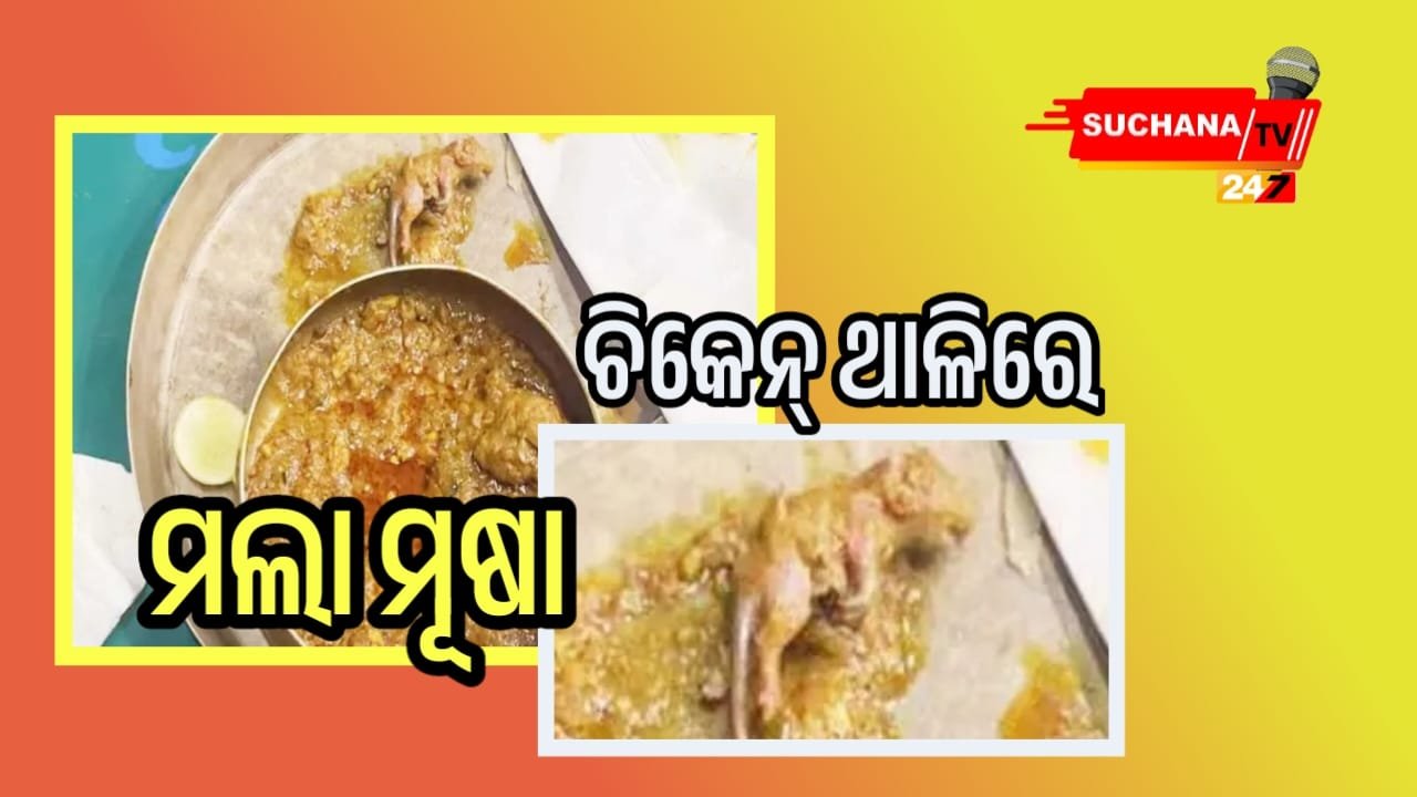 ଚିକେନ ଥାଳିରୁ ବାହାରିଲା ମଲା ମୂଷା