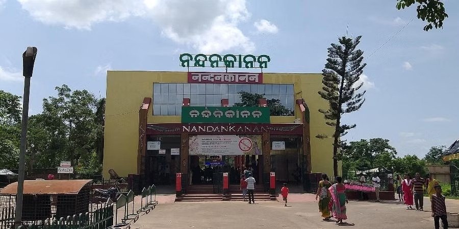 ଏଣିକି ଦିନରେ ବୁଲିବା ସହ ରାତିରେ ବି ବୁଲିବାର ମଜା ଉଠାଇପାରିବେ ପର୍ଯ୍ୟଟକ