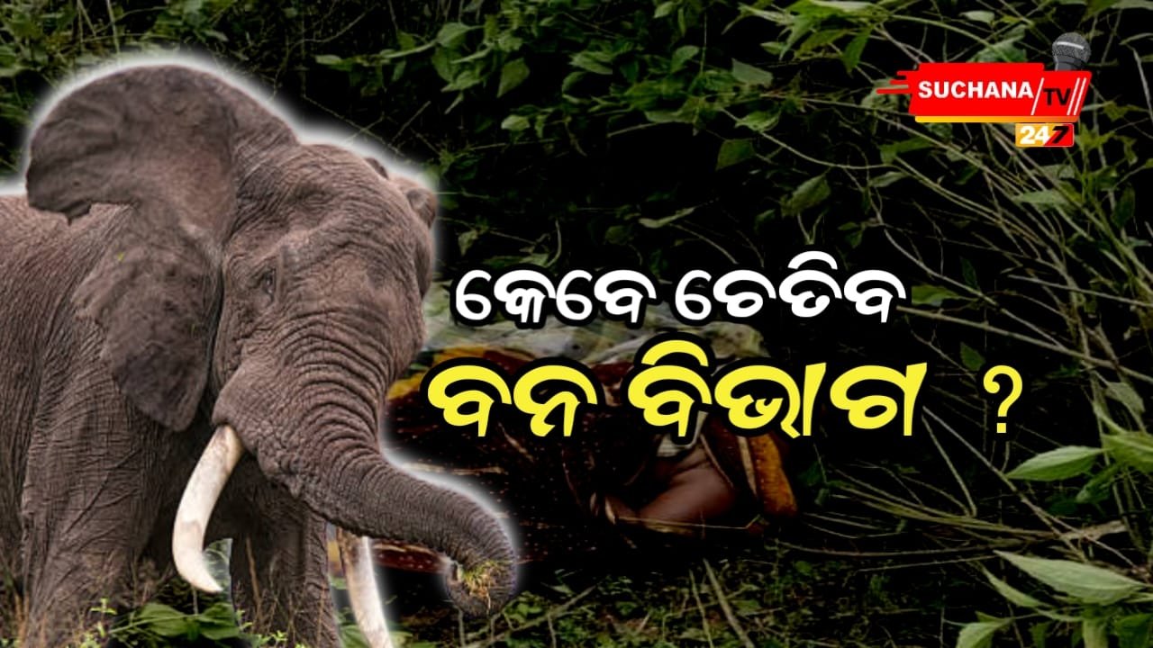 ହାତୀ ଆକ୍ରମଣ ରେ ଜଣେ ମୃତ, ଜଣେ ଗୁରୁତର