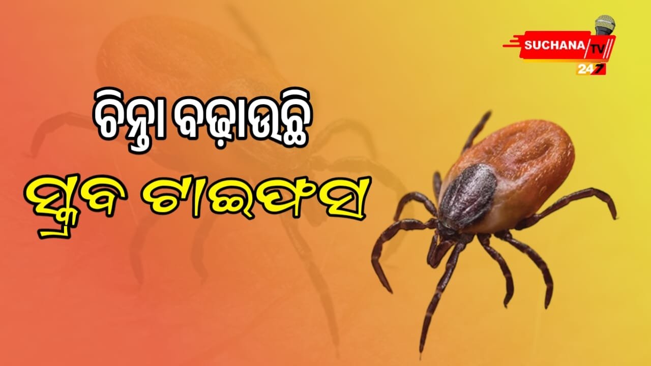 ରାଜ୍ୟରେ ଆତଙ୍କ ଖେଳାଇଛି ସ୍କ୍ରବ ଟାଇଫସ