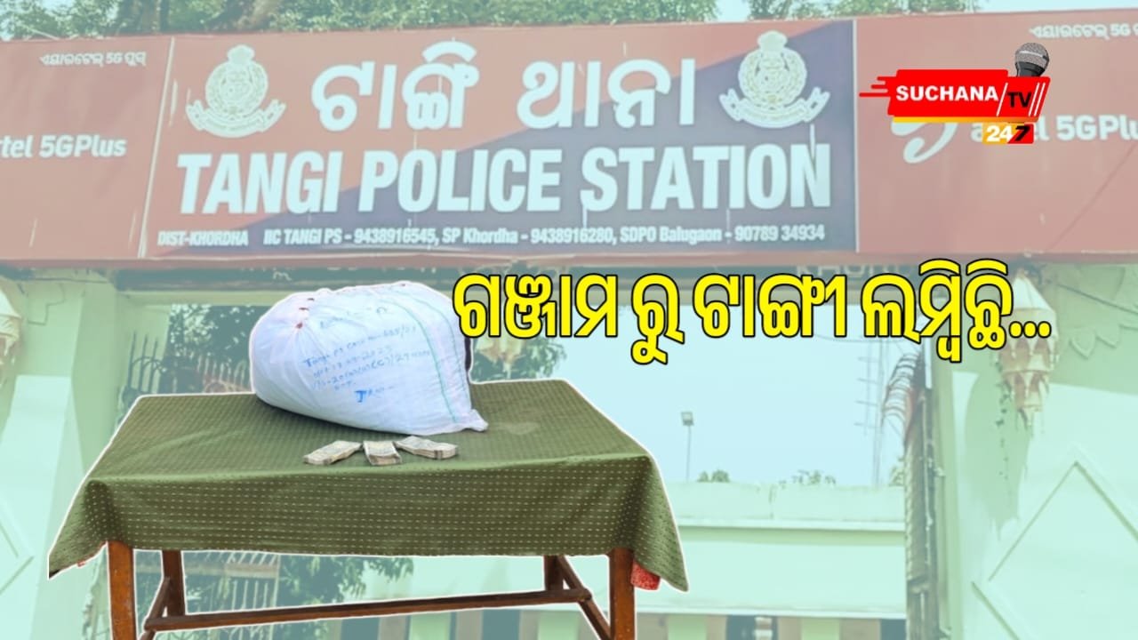 ଗଂଜାମ ରୁ ଟାଙ୍ଗୀ, ଲମ୍ବିଛି ଗଂଜେଇ ରାକେଟ