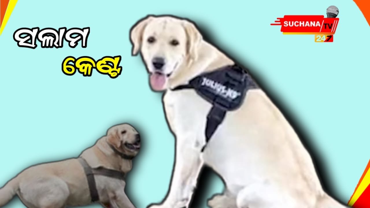 ଯବାନଙ୍କ ଜୀବନ ବଞ୍ଚାଇବାକୁ ଯାଇ ୫ ଗୁଳି ଚୋଟ ଖାଇଲା କେଣ୍ଟ