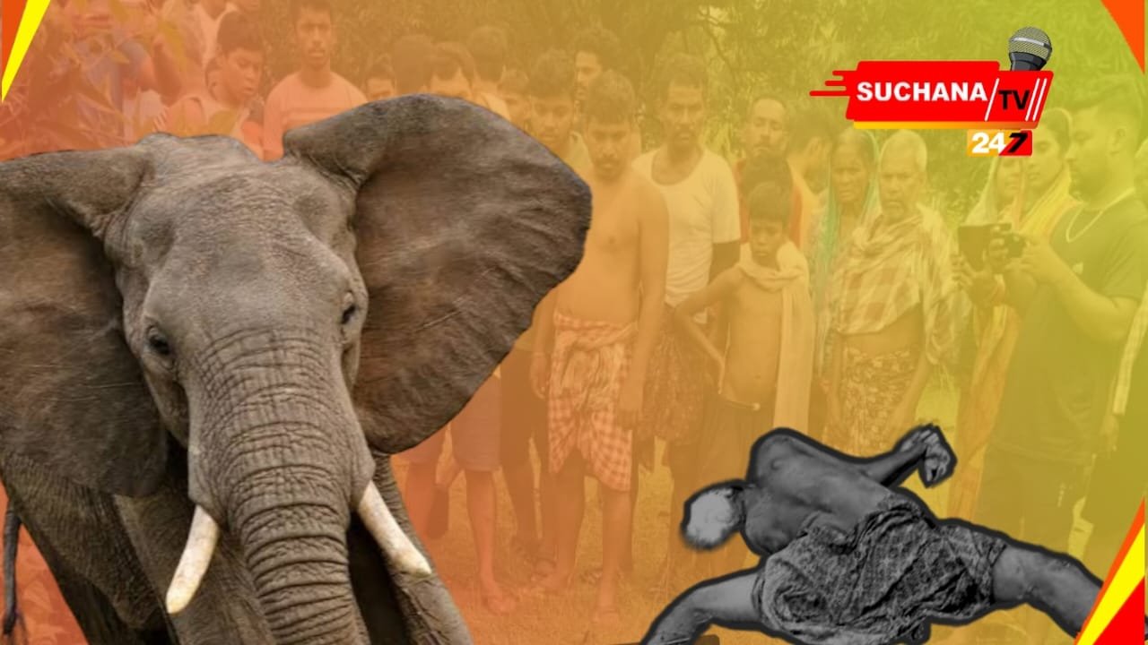 ପୁଣି ଦନ୍ତା ନେଲା ଆଉ ଏକ ଜୀବନ