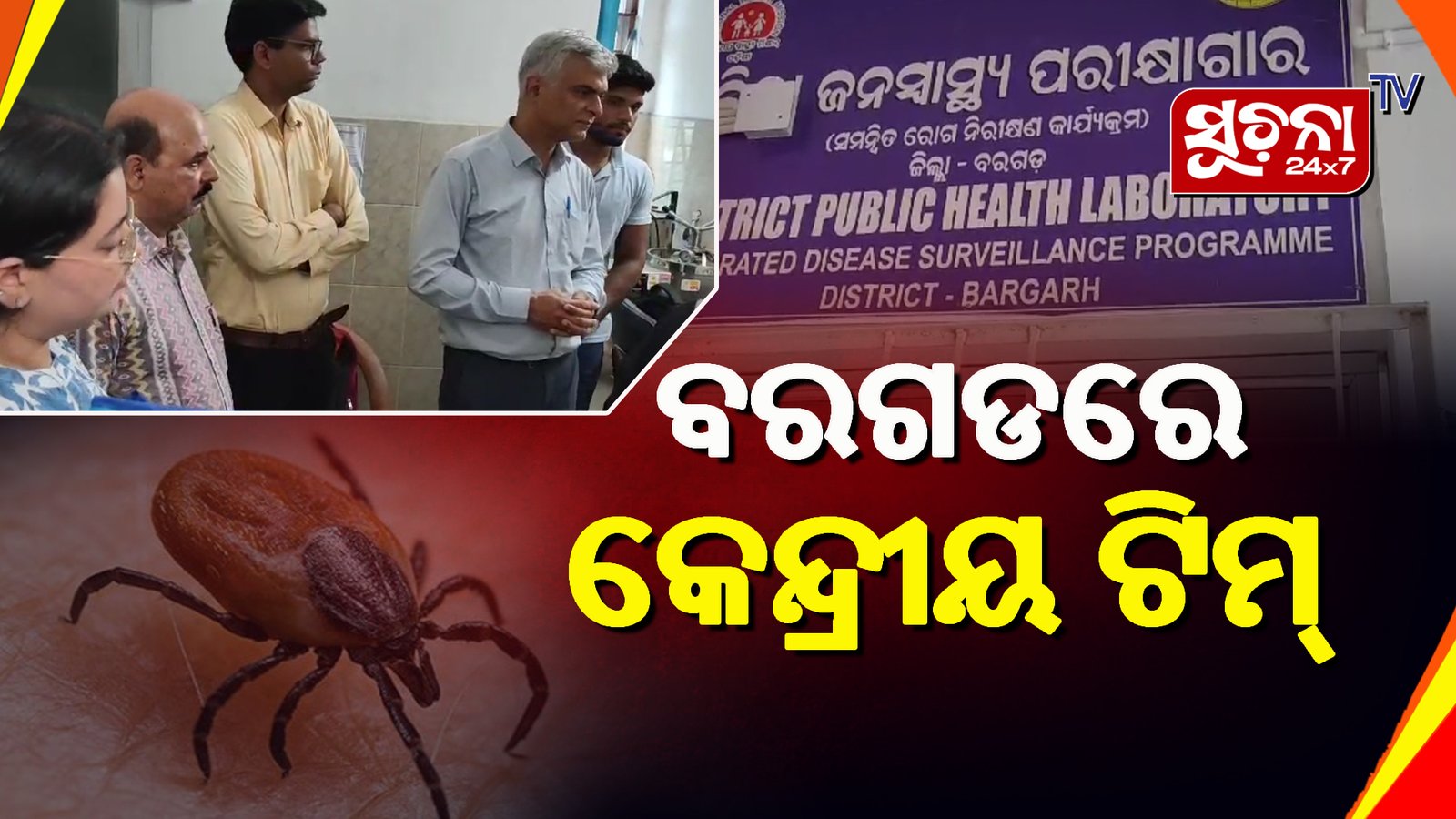 ସ୍କ୍ରବ ଟାଇଫସ: ବରଗଡ଼ରେ କେନ୍ଦ୍ରୀୟ ଟିମ