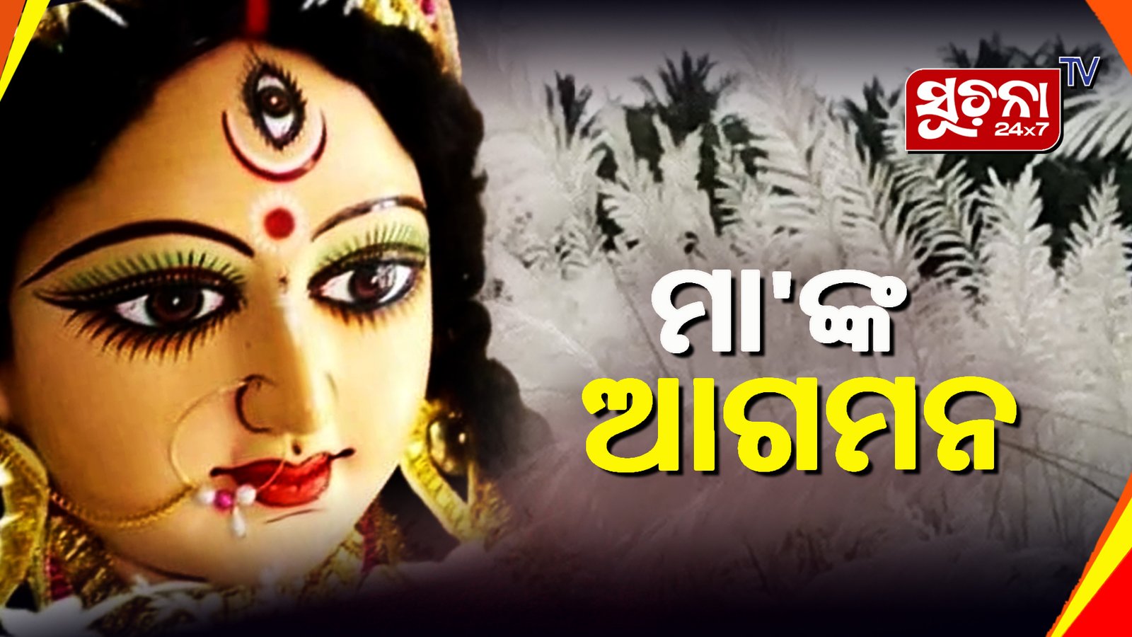 ପାର୍ବଣର ବାର୍ତ୍ତା ନେଇ ଧରା ପୃଷ୍ଠରେ କାଶତଣ୍ଡିର ପସରା