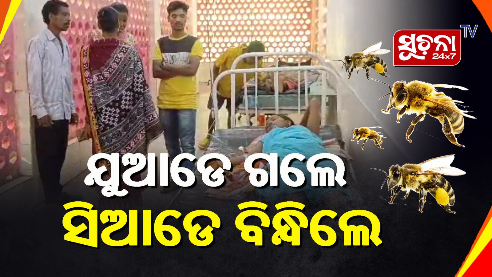 ସଫା କରିବାକୁ ଯାଇଥିଲେ କାଜୁ ବଗିଚା, ତା’ ପରେ…