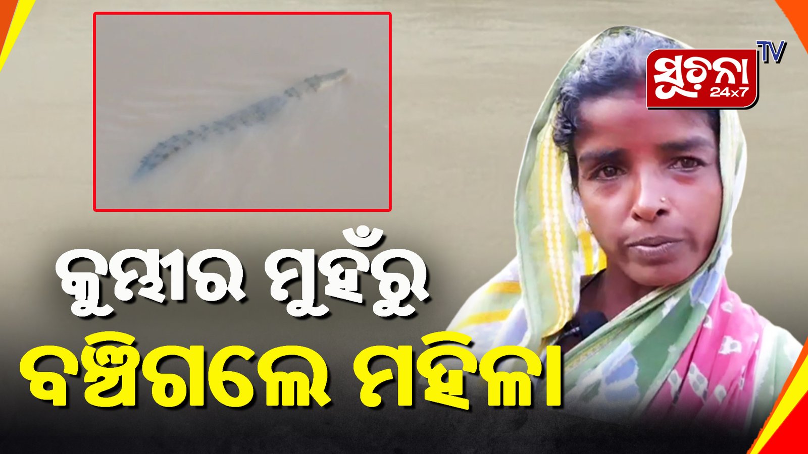 ମହିଳାଙ୍କୁ କୁମ୍ଭୀର ମୁହଁରୁ ଟାଣି ଆଣିଲେ ଦୁଇ ଯୁବକ