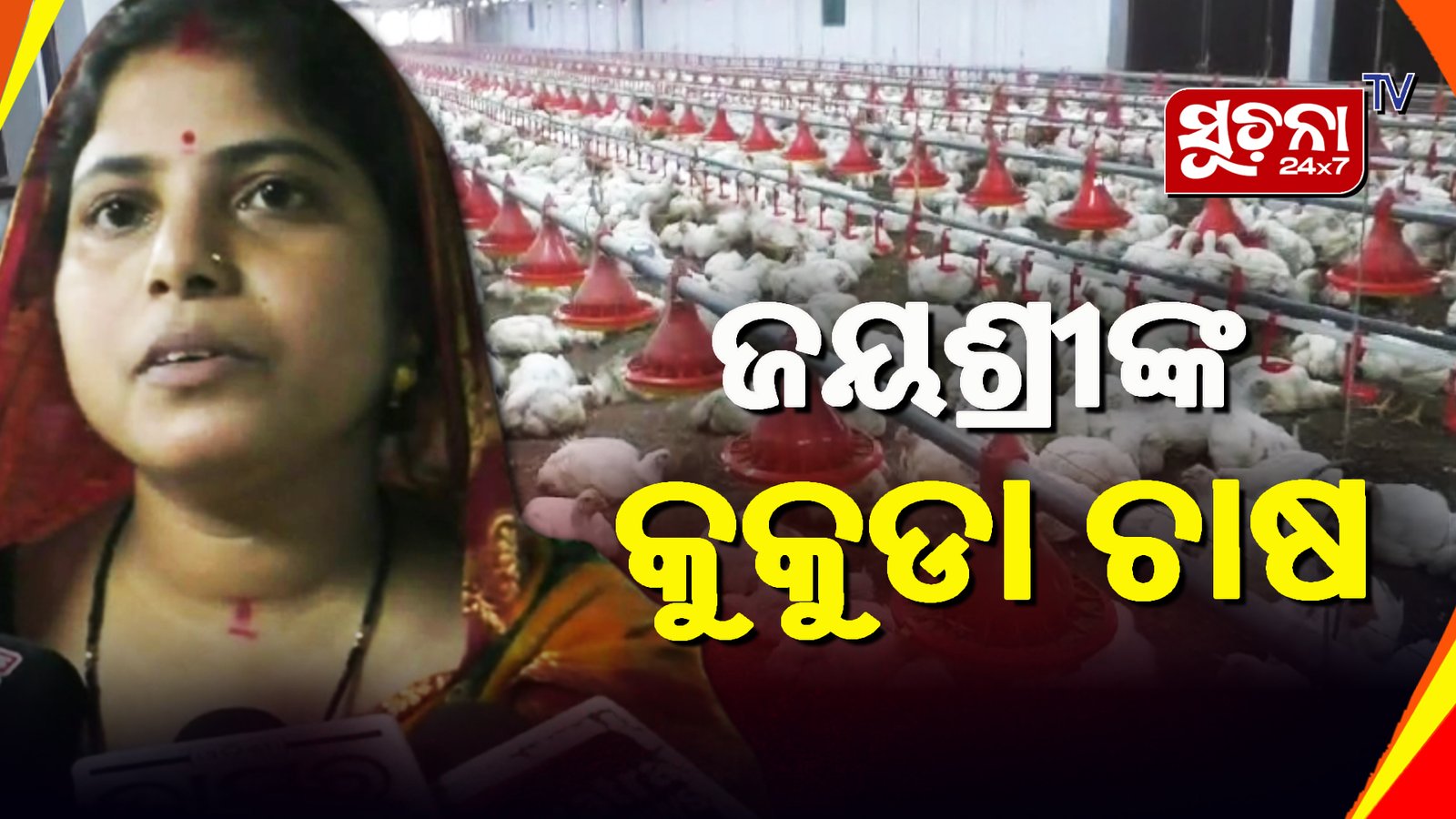 କୁକୁଡ଼ା ଚାଷ କରି ଚର୍ଚ୍ଚାରେ ଜୟଶ୍ରୀ, ମାସିକ ଆୟ ଏକ ଲକ୍ଷ