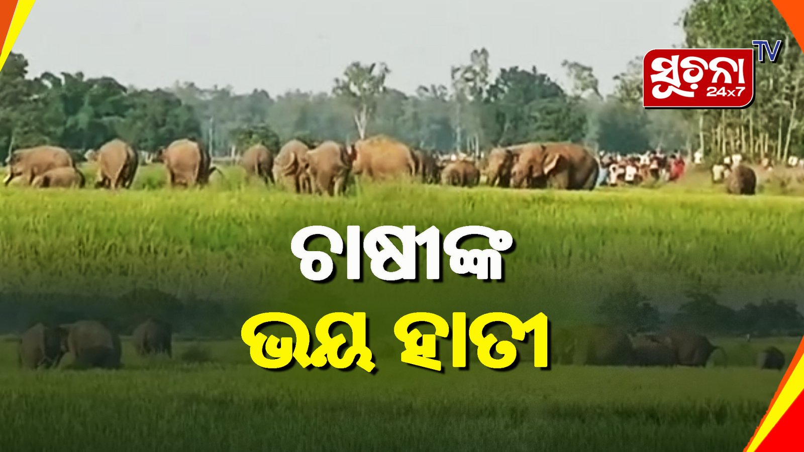 ୧୮ ଟିକିଆ ହାତୀପଲ କେନ୍ଦୁଝର ମୁହାଁ