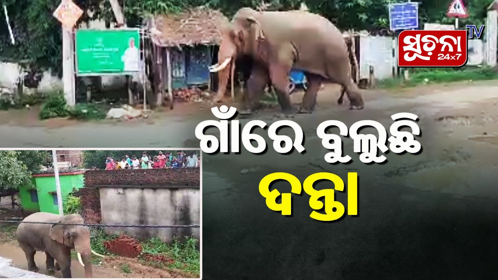 ବରଗଡର ପଦ୍ମପୁରରେ ବୁଲୁଛି ହାତୀ,ଭୟରେ ଗ୍ରାମବାସୀ