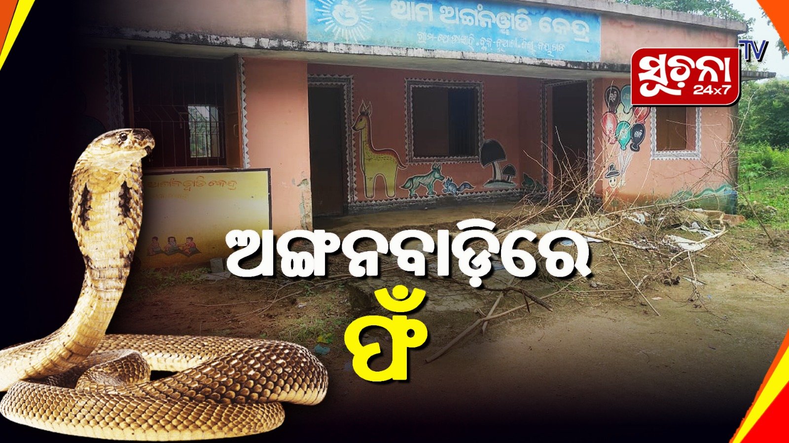 ବିଷଧର ସାପଙ୍କ ଆଡ୍ଡାସ୍ଥଳୀ ଅଙ୍ଗନବାଡ଼ି କେନ୍ଦ୍ର