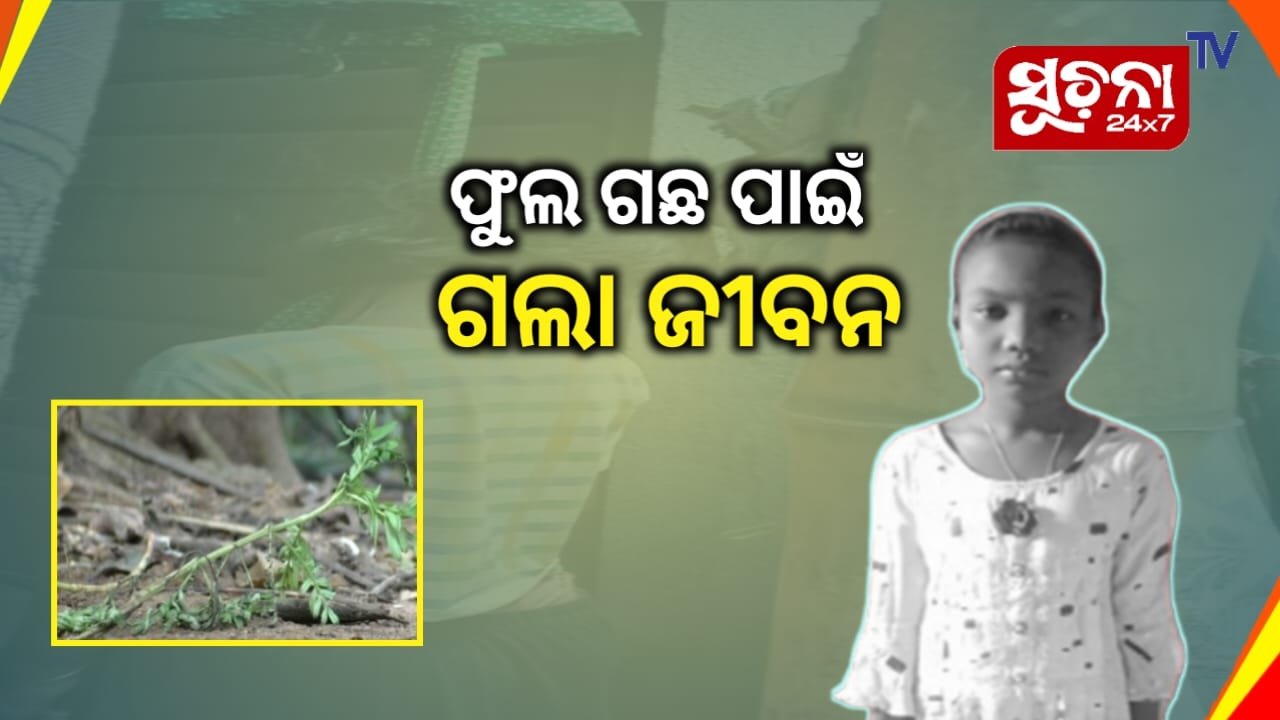 ଫୁଲ ଗଛ ପାଇଁ ନାବାଳିକାକୁ ହତ୍ୟା