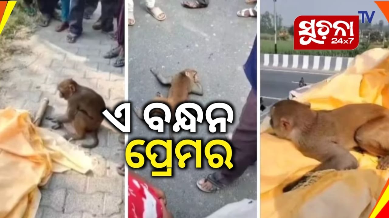 କୋକେଇ ସହିତ ଶ୍ମଶାନକୁ ଗଲା, ଓ ନିଜେ କାନ୍ଦି ଭୁଇଁରେ ଗଡିଗଲା